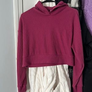 Alo Yoga Cropped Hoodie